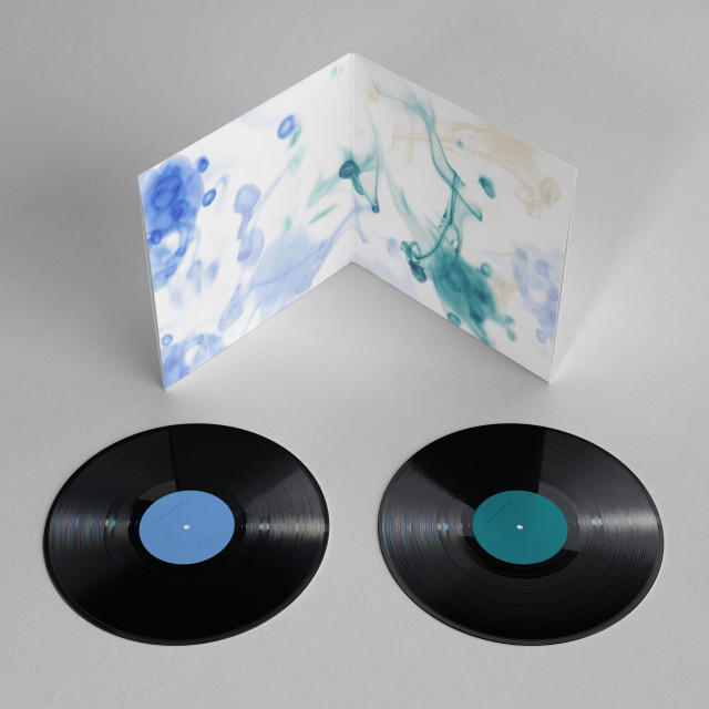 Má vlast_vinyl_grafika