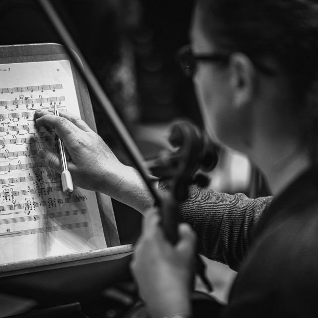 Huslistka ŠFK s notami 